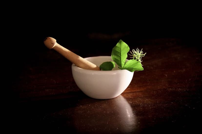 Natural Remedies for Hair Growth: Fact or Fiction?
