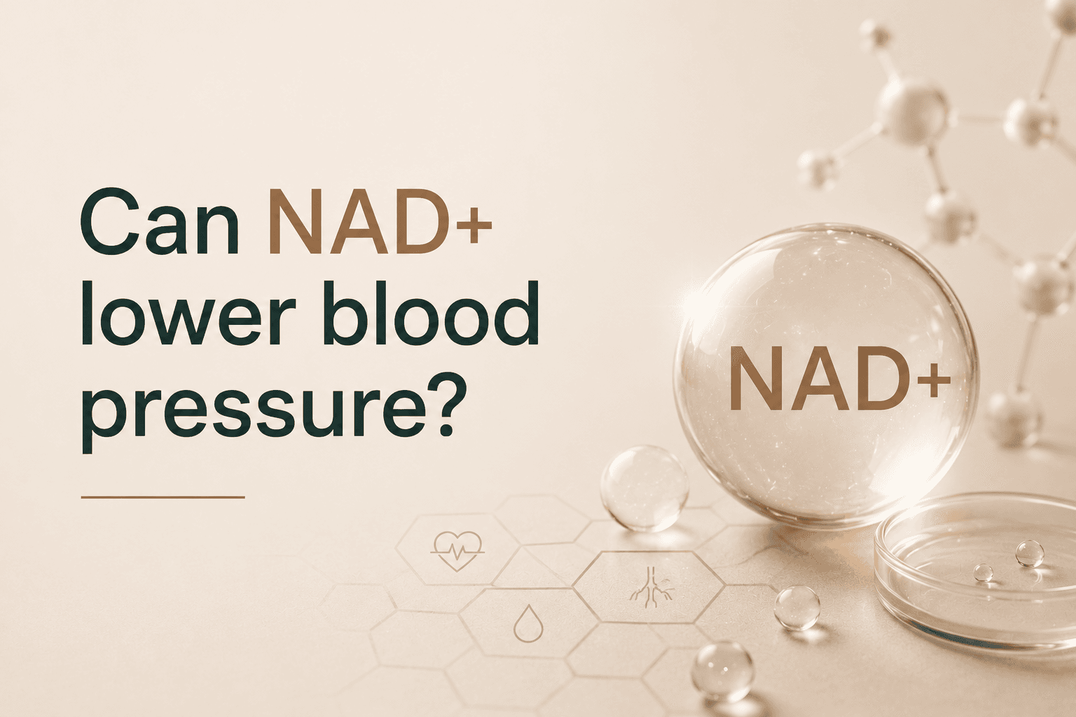 Can NAD+ Lower Blood Pressure?